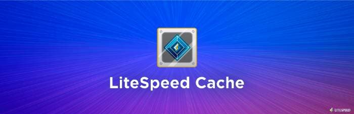 Top 3 free Caching Plugin For WordPress | फ़्री में website की speed को बड़ाए। 4 Litespeed Caching For WordPress