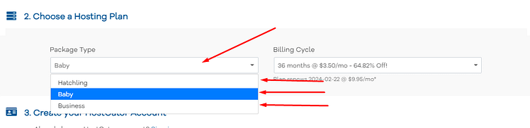 how to buy hosting 